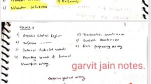 Gluteal region || 3 / 5 marks || LOWER LIMB ||