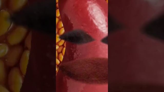 Жизнь у бобов! Или жизнь у фасоли! смотреть онлайн