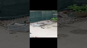 1000008326.mp4