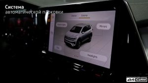 видео Талагон