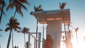 Pascal Letoublon - Palm Springs
