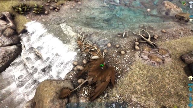 Приручаем ГРИФОНА и КЕТЦАЛЯ - ARK Survival Evolved Модифицированное Выживание #3 смотреть онлайн