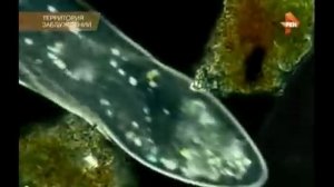 Нераскрытые тайны Луны. Какие секреты скрывают астронавты НАСА.