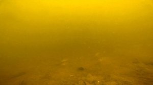 Мормо Риг  - Все что нужно узнать | Микроджиг, Наноджиг, Мормышинг