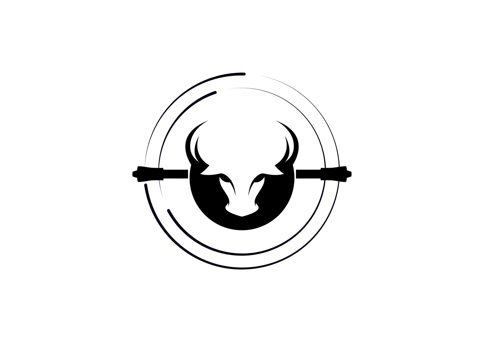 Bizorus. Проект по развитию penspinning / пенспиннинга