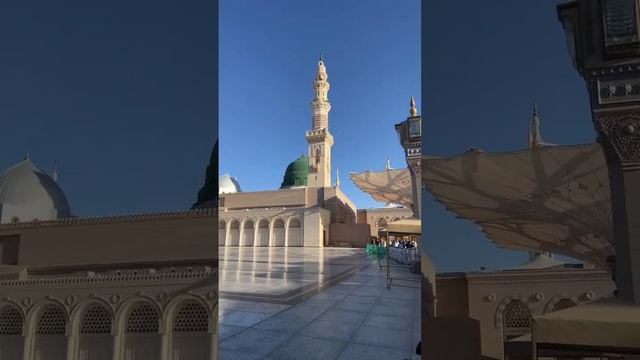 Green tomb смотреть онлайн