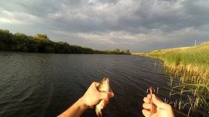 ЛОВЛЯ ЩУКИ НА ЛОЖКУ (щука на спиннинг)