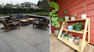 Успех в дизайне дерева своими руками