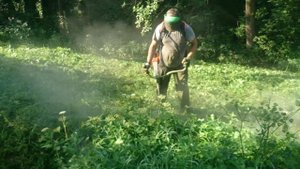 Hard work STIHL FS 490 C-EM with Oregon Jet - Fit Pro
