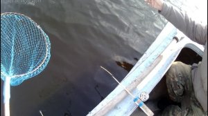 ЛОВЛЯ ЛЕЩА НА УТРЕННЕЙ ЗОРЬКЕ. РЫБАЛКА НА ЛЕЩА С ЛОДКИ. ЛОВЛЯ ЛЕЩА НА БОРТОВЫЕ УДОЧКИ. РЫБАЛКА 2023