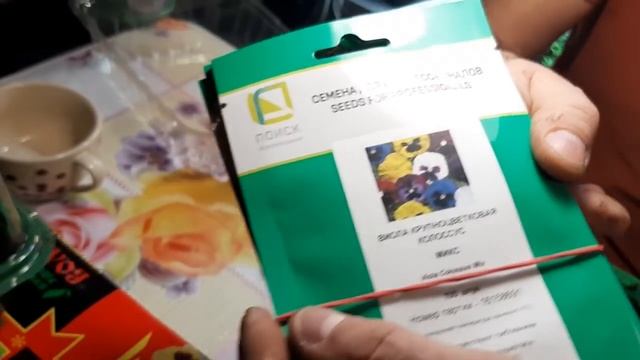 Зимний посев многолетников, быстрый способ посева мелких семян !!! смотреть онлайн