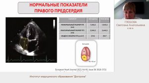 Глебова. Норма в эхокардиографии
