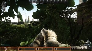 ТЫ НЕ-ТЫ КОГДА ГОЛОДЕН! - Escape From Tarkov