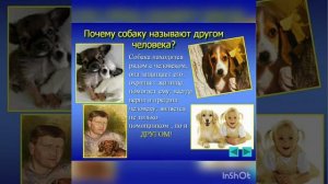 Мой четвероногий друг. Отряд «Дружные ребята»