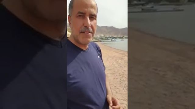 الأستاذ احمد عرابي لأطلع عراس الجبل وأنزل ...