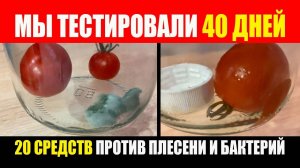 Прошло 40 дней. Тест 20 средств против плесени и бактерий. Помидоры На Зиму