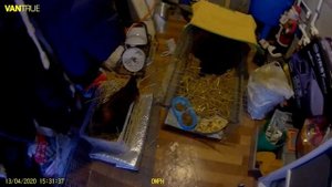 Китайский инкубатор с Алиэкспресс 12 EGG. Наседка или китайский инкубатор? Часть № 1