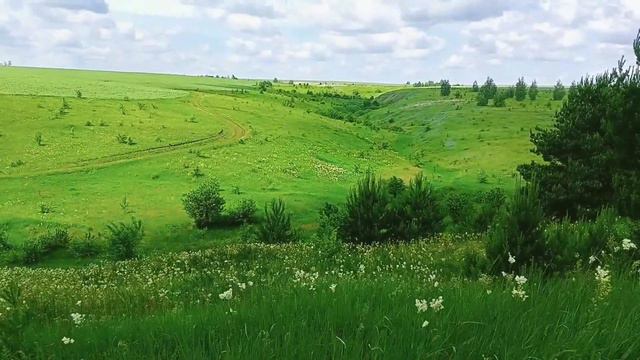 Белоколодецкая природа Липецк.