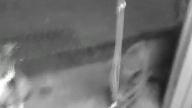 Кто хорошо тренируется - тот хорошо ест смотреть онлайн