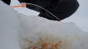 Зимняя рыбалка на финском в СПб. Бешаный клев ерша.