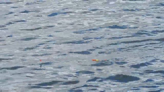 ЛОВЛЯ БОЛЬШОГО КАРАСЯ ЛЕТОМ\УДАЧНАЯ РЫБАЛКА смотреть онлайн