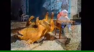 Песня про сало)