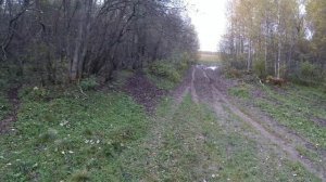 Ищем древнее селище