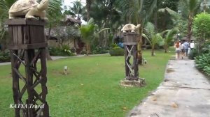 Тайланд КО ЧАНГ. CENTARA KOH CHANG TROPICANA RESORT | Отель Центара Ко Чанг Тропикана 4*