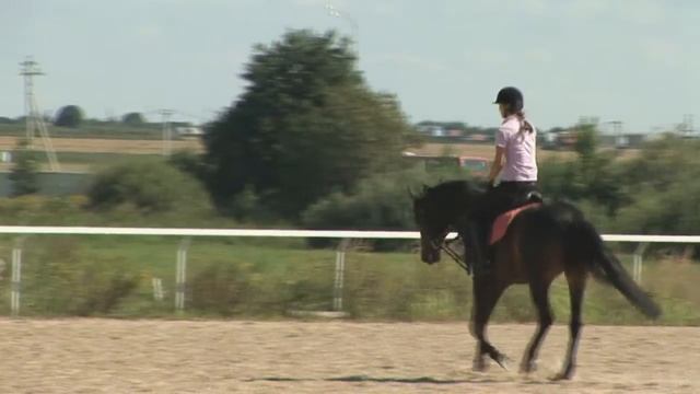 Условия проживания в детском лагере "Солнцеворот" г. Йошкар-Ола смотреть онлайн