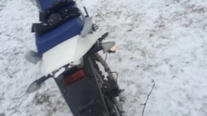 IRBIS TTR250R Прямоток