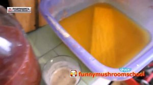 Гипсовая плитка, реакция железного купороса и извести