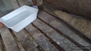 Сколько надо комбикорма на ? бройлеров .