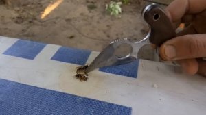 влияние никотина на ос