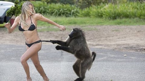 ЛУЧШИЕ ПРИКОЛЫ 2023 СМЕШНОЕ ВИДЕО, СМЕШНЫЕ ДЕВУШКИ, ЖИВОТНЫЕ, ПРИКОЛ