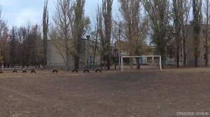 Луганск Сегодня, Футбольный стадион 52 и 47 школы, 7 ноября 2020