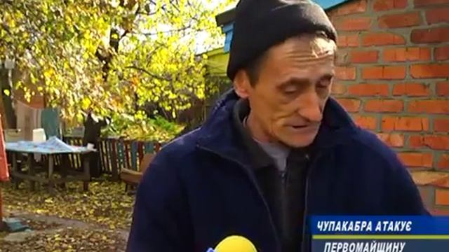 Чупакабра в селе Новоберекское
