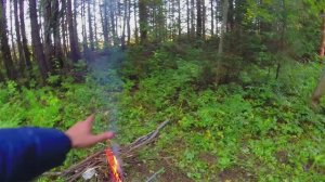 Ночь в языческой роще. Аномальный лес на севере. Корткерос. Часть 2.