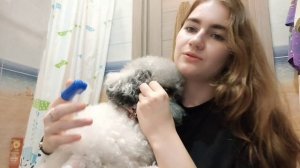 Чистка зубов собаки