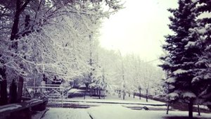 Социальный ролик на тему Экология.