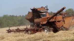 Combines SK-5M, a beautiful video! /// Комбайны СК-5М, красивое видео!