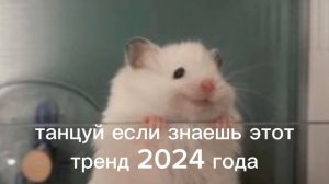 танцуй если знаешь этот тренд 2024 года 💫💦💤
давайте добьем 30 подписчиков