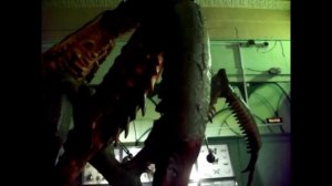 Выставка гигантских подвижных насекомых-2 часть