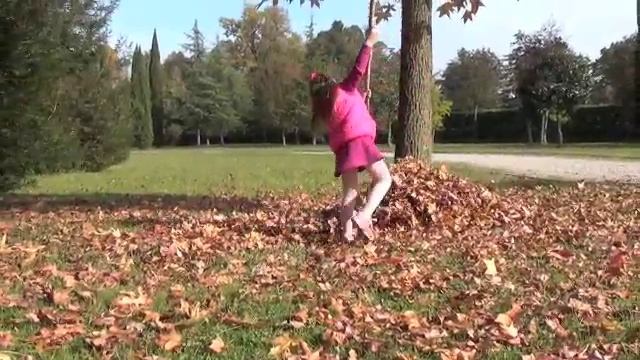 ДОМИК ДЛЯ ЕЖЕЙ смотреть онлайн