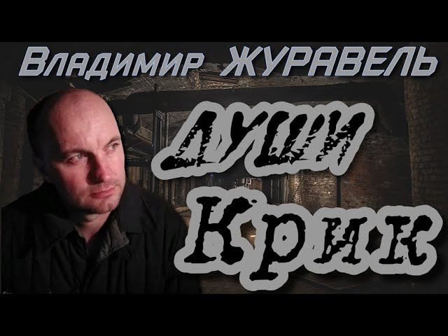 Владимир ЖУРАВЕЛЬ - Души Крик / Кавер версия музыки и слов смотреть онлайн