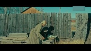 Хэлгүй Жим Муск 2020