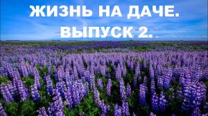 ЖИЗНЬ НА ДАЧЕ.  ВЫПУСК 2.