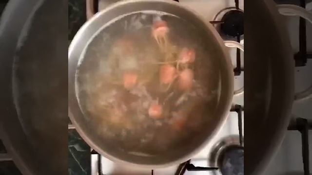 Спагетти с сосисками с томатным соусом смотреть онлайн