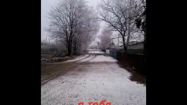 даша растование тула борятино любовь на вечно