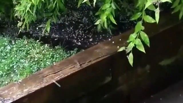 Приметы и суеверия про град.