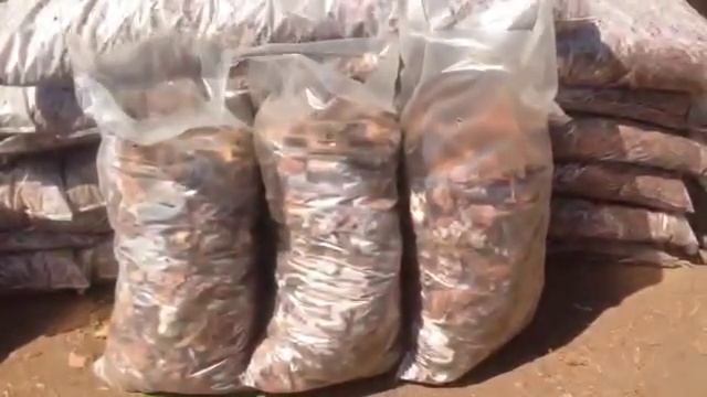 Кора сосны для мульчирования (средней фракции 6-10 см) - популярный вид мульчи. «Цветники РУ».